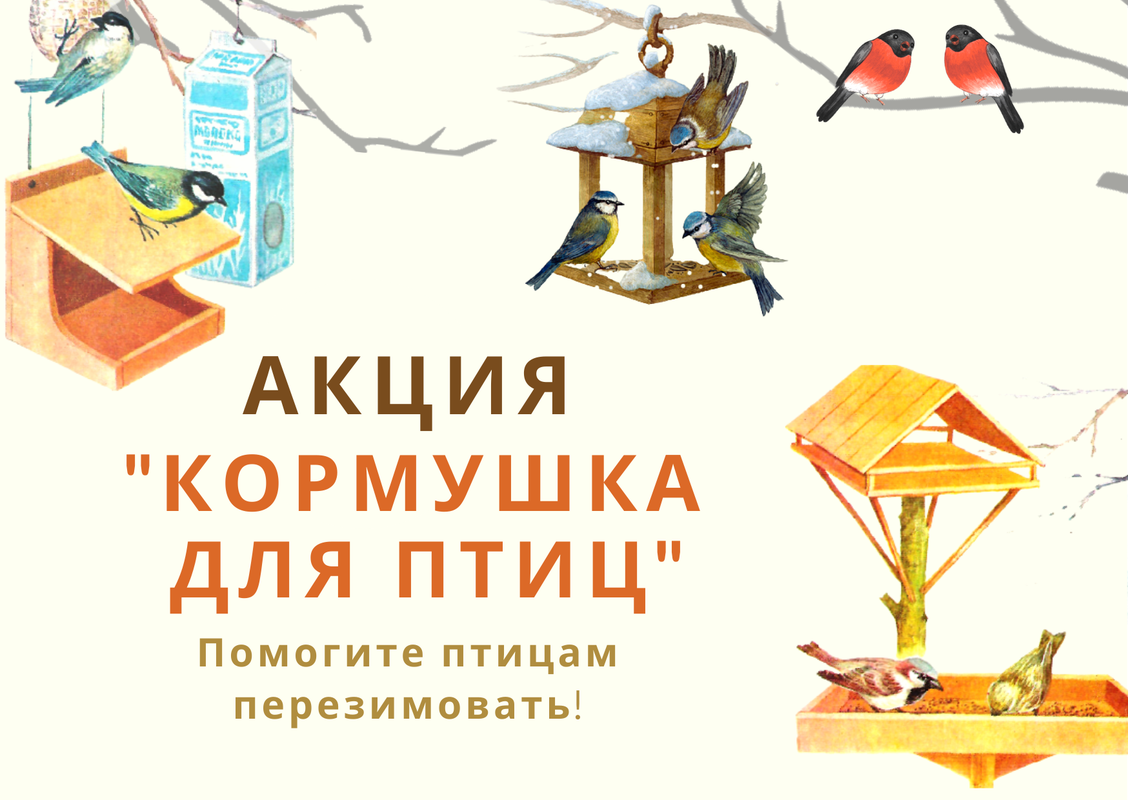 Акция &amp;quot;Кормушки для птиц&amp;quot;.